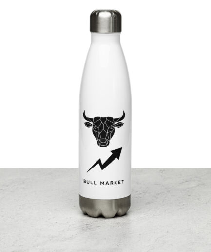 Stainless Steel Water Bottle